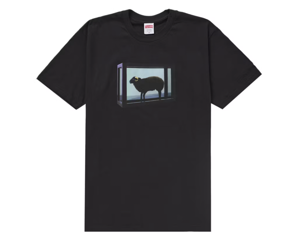 Supreme Damien Hirst Tee Black