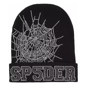 Sp5der Web Beanie Black