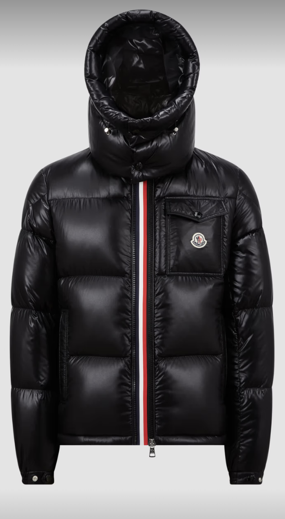 Moncler Montbeliard Down Jacket