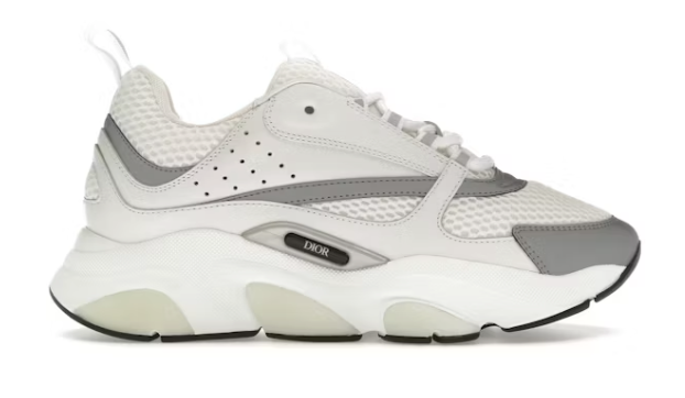 Dior B22 White Silver Grey