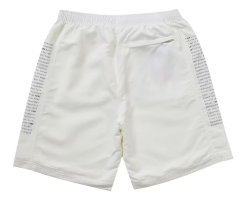 Supreme The North Face Nylon Short White