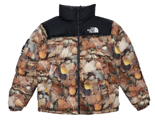 Supreme The North Face Nuptse Leaves