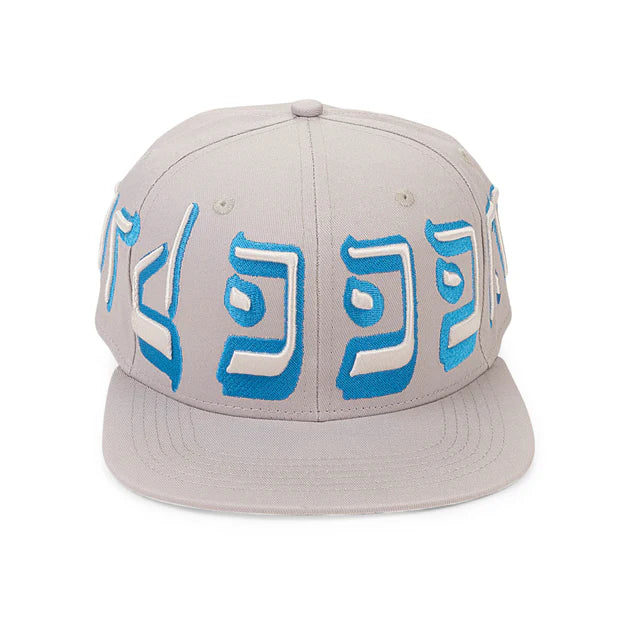 Murd333R.Fm Ice Grey Fitted Hat