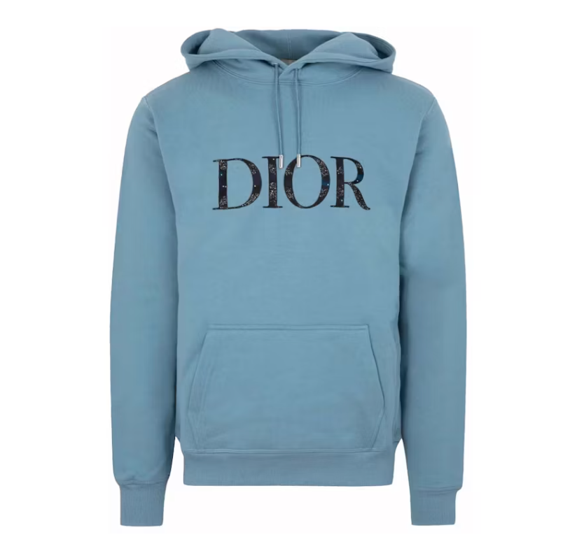 Dior x Peter Doig Logo Hoodie Light Blue