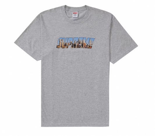 Supreme Gotham Tee Ash Grey