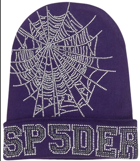 Sp5der Web Rhinestone Beanie Purple