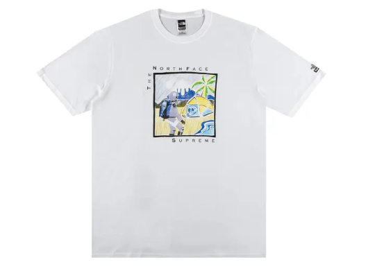 Supreme x The North Face Sketch T-Shirt White