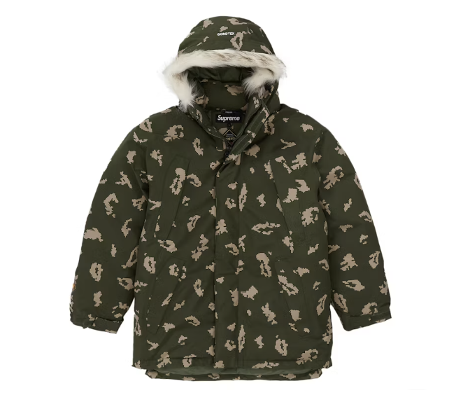 Supreme GORE-TEX 700-Fill Down Parka (FW21) Olive Russian Camo