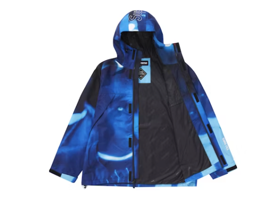 Supreme Nas and DMX GORE-TEX Shell Jacket Multicolor