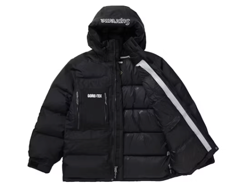 Supreme GORE-TEX 700-Fill Down Parka (FW19) Black