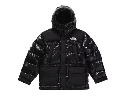 Supreme The North Face 700-Fill Down Parka Black Dragon