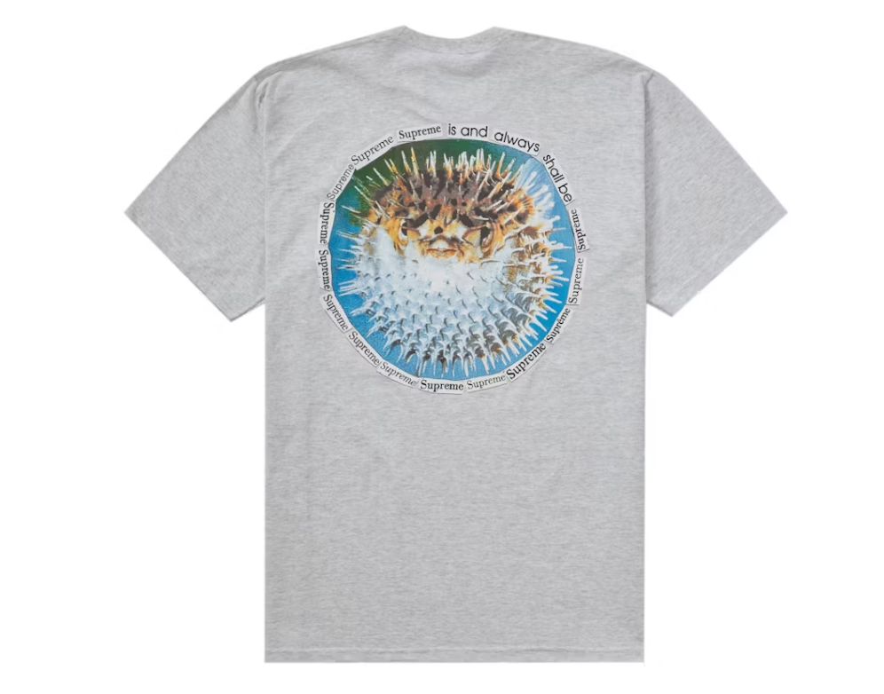 Supreme Blowfish Tee Ash Grey