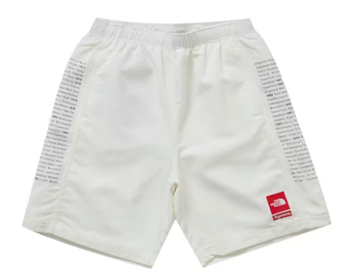 Supreme The North Face Nylon Short White